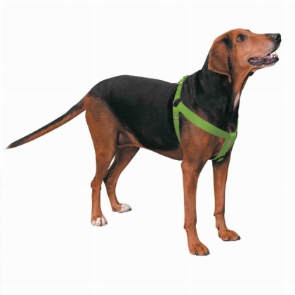 Light Green - CC Nylon 2 Step Harness 25-40In Grn - 25-40in