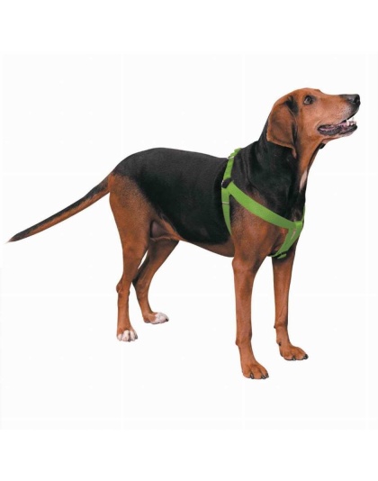 Light Green - CC Nylon 2 Step Harness 25-40In Grn - 25-40in