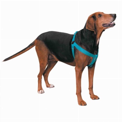 Turqouise - CC Nylon 2 Step Harness 25-40In Blu - 25-40in