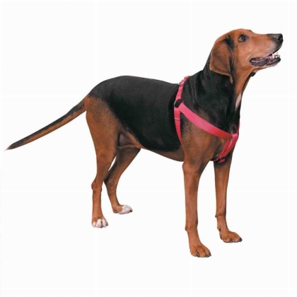 Pink - CC Nylon 2 Step Harness 9-15In Pnk - 9-15in