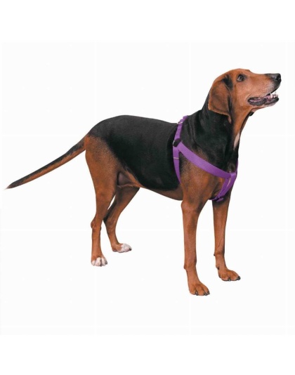 Purple - CC Nylon 2 Step Harness 9-15In Pur - 9-15in