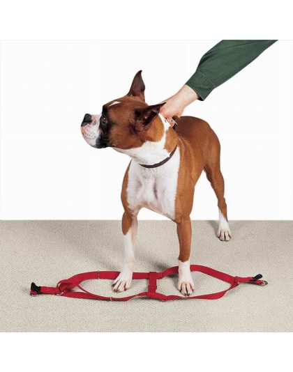 Red - CC Nylon 2 Step Harness 25-40In Red - 25-40in