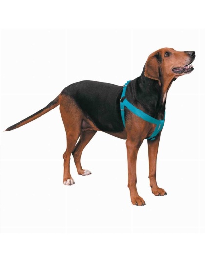 Turqouise - CC Nylon 2 Step Harness 9-15In Blu - 9-15in