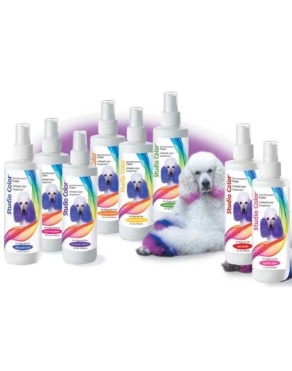 Purple - Davis Studio Color Hair Dye Pur 4oz - 4oz