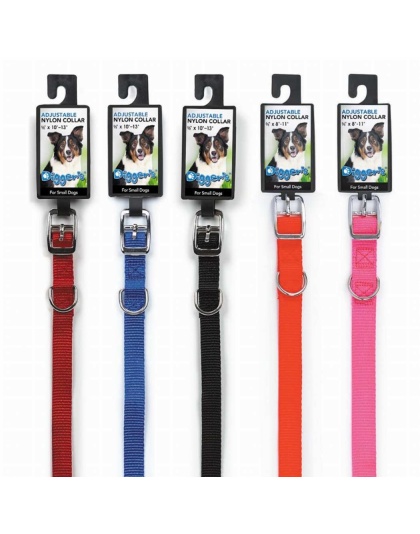 Neon Orange - DGR 5/8in Nylon Collar 10in Neon Org - 10in