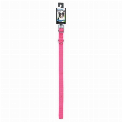 Neon Pink - Diggers 5/8in Nylon Neon Collar 12in Pnk - 12in