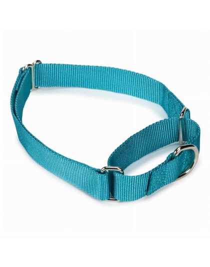 Light Blue - GG Nylon Martingale Collar 14-20In LtB - 14-20in