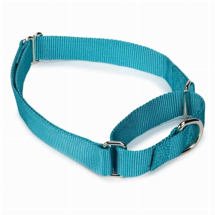Light Blue - GG Nylon Martingale Collar 18-26In LtB - 18-26in